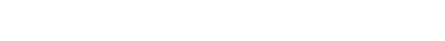 FLEX ARCHITECTURE