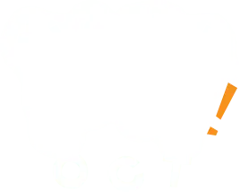 トップページへ