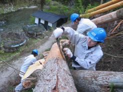 photo: 美杉山荘建設プロジェクトレポート３８（２０１０年度 工事再開）