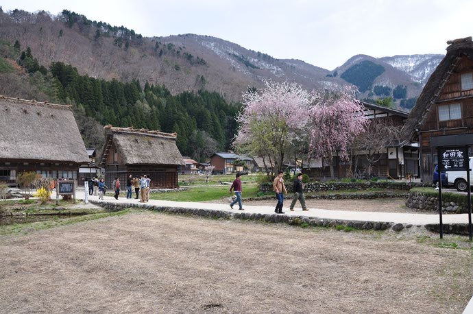 photo: 2年生　学外実習「白川郷、飛騨高山・古川」